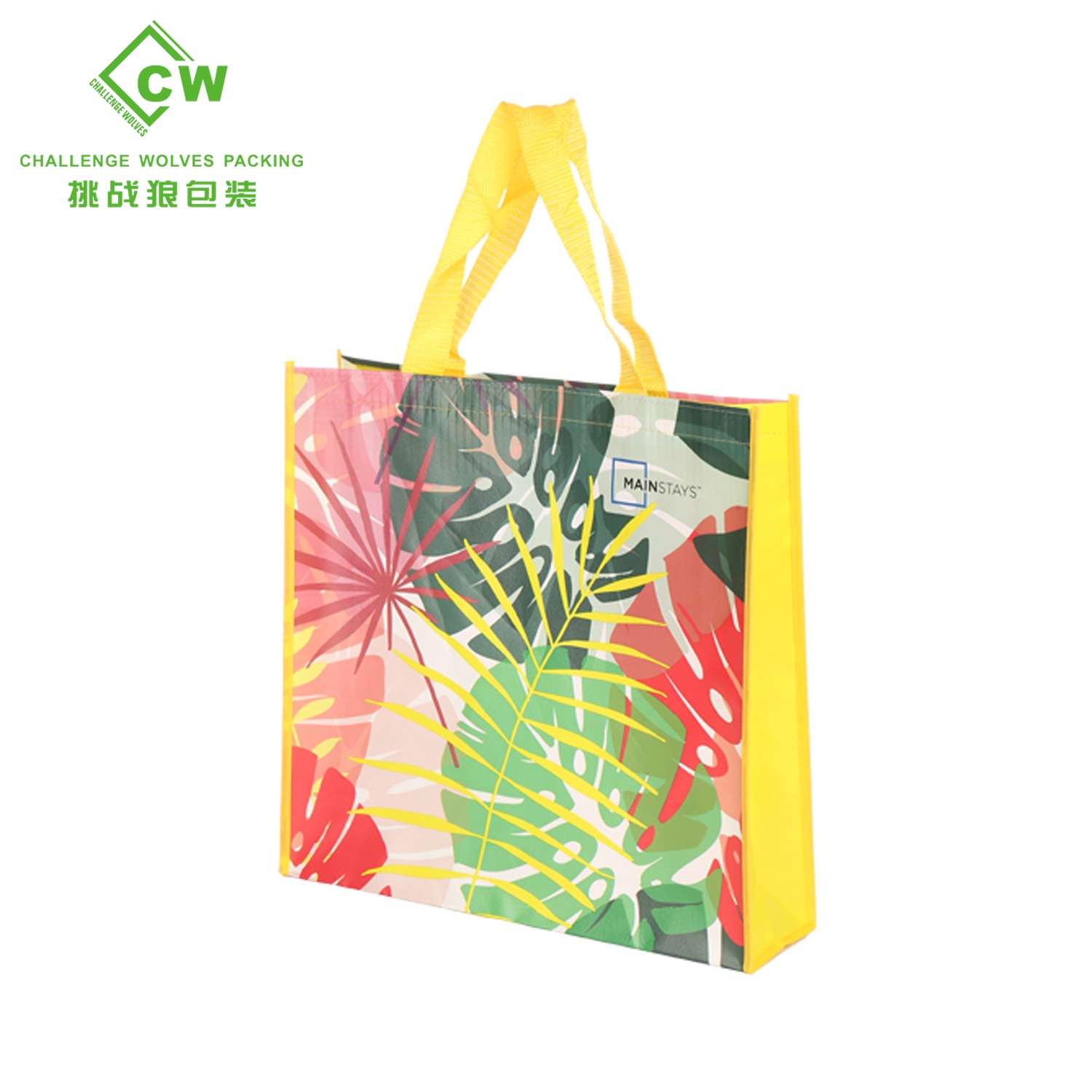 Non Woven Bags